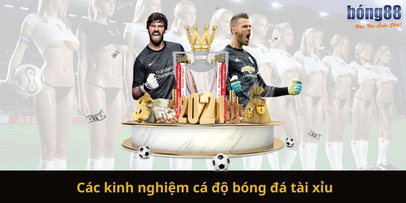 Các kinh nghiệm cá độ bóng đá tài xỉu