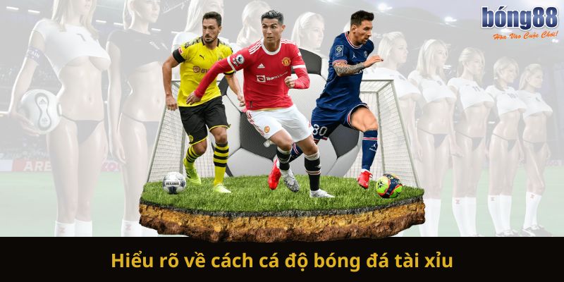 Hiểu rõ về cách cá độ bóng đá tài xỉu